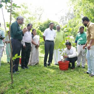 World Environment Day Celebration at PSC Office, Pattom, Trivandtum On 05/06/2025